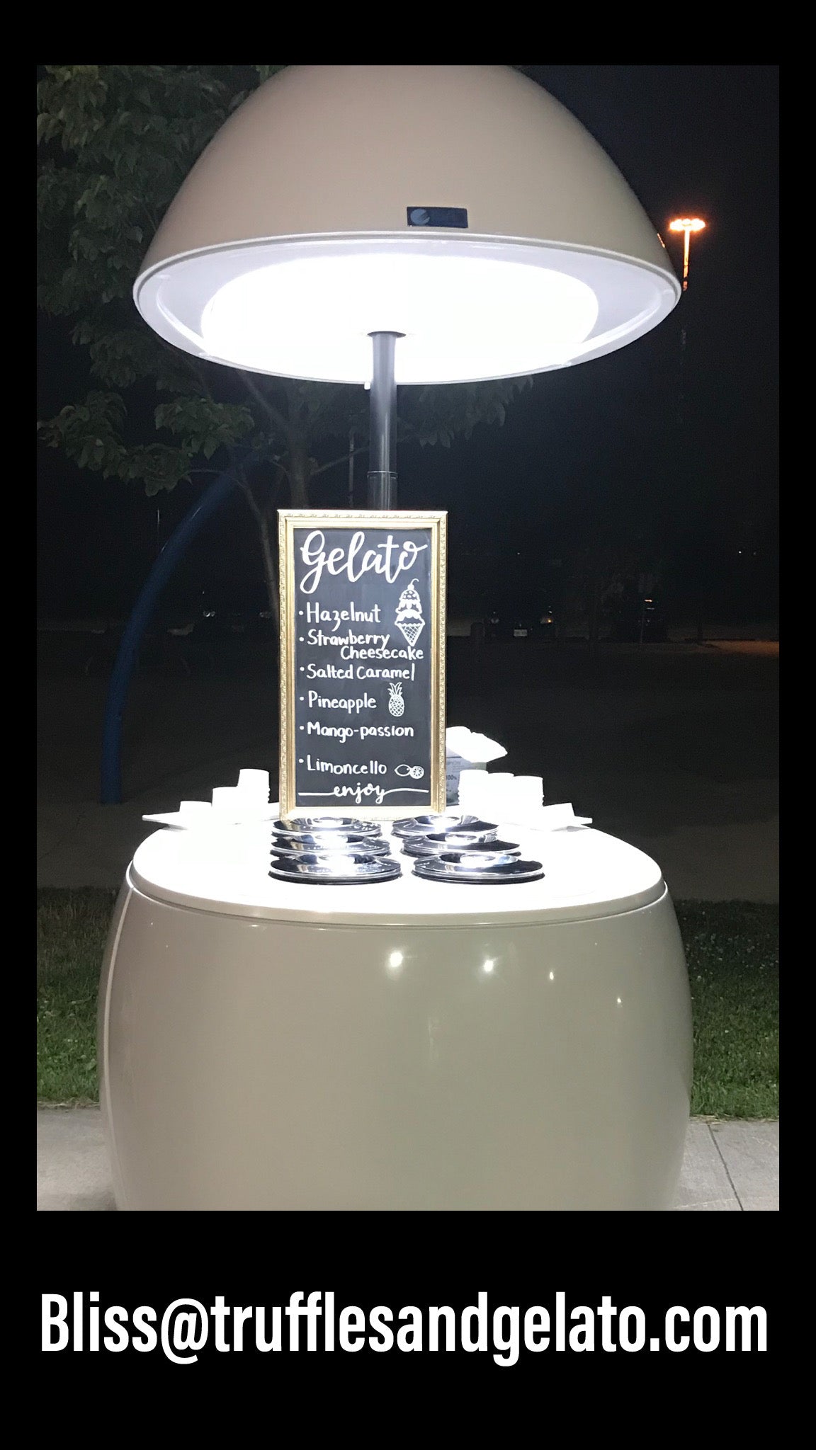 Bliss Gelato at your special event